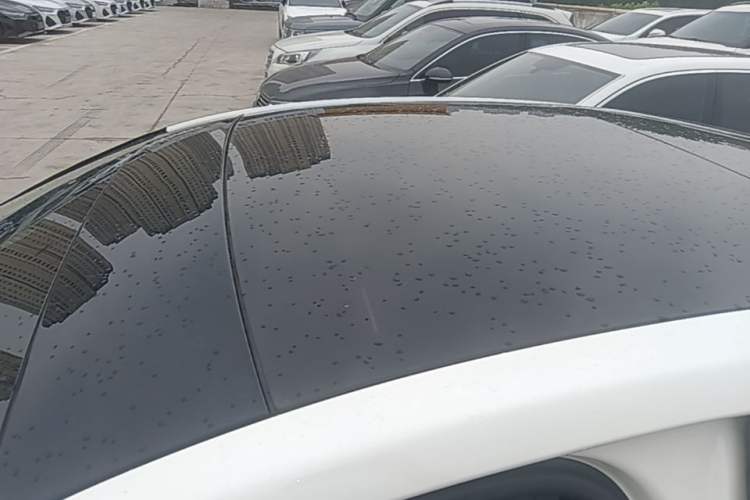 Used Ford Focus 2020 Sedan EcoBoost 180 Automatic ST Line Roof