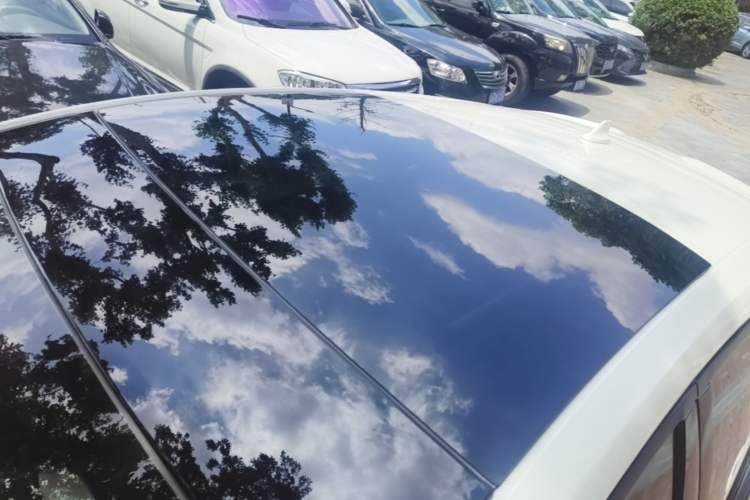 Used Ford Focus 2020 Hatchback 1.5L Automatic Sharp Edition Roof