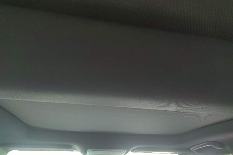 Used Ford Focus 2021 Sedan EcoBoost 180 Automatic ST Line Headliner