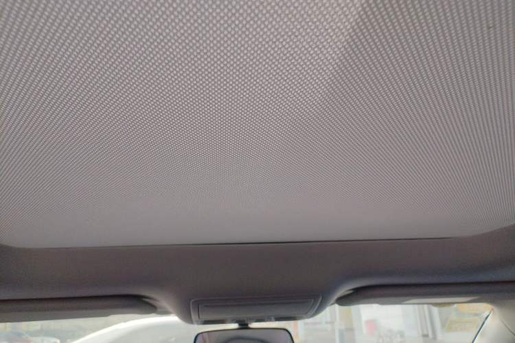 Used Ford Focus 2021 EcoBoost 180 Automatic Hunter Edition Headliner