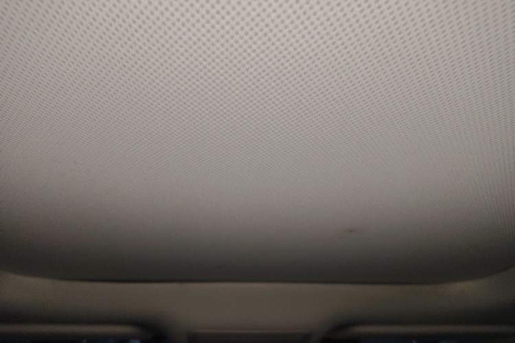 Used Ford Focus 2021 EcoBoost 180 Automatic Hunter Edition Headliner