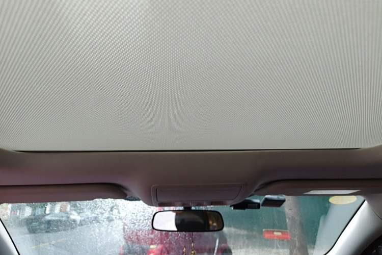 Used Ford Focus 2021 Hatchback EcoBoost 180 Automatic Titanium Edition Headliner