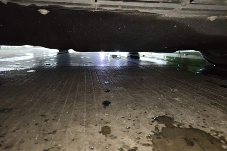 Used Ford Focus 2021 Sedan EcoBoost 180 Automatic ST Line Chassis Front