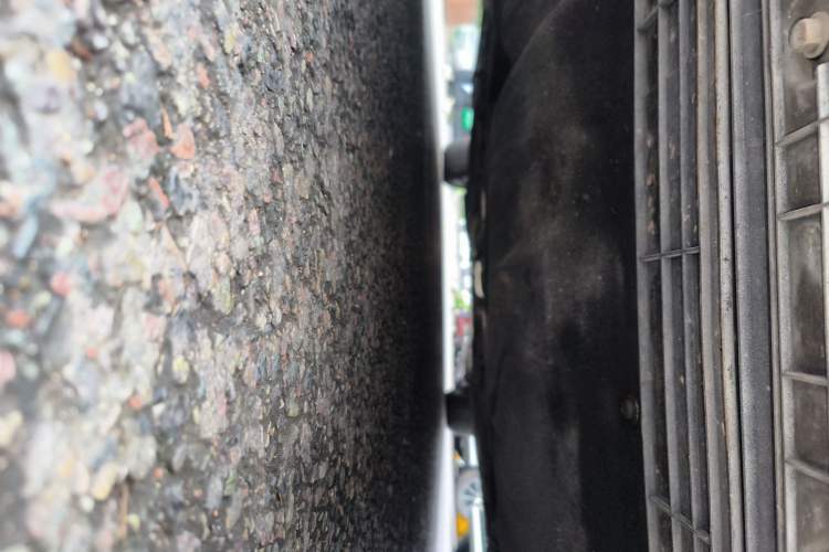 Used Ford Focus 2021 Sedan EcoBoost 180 Automatic ST Line Chassis Front
