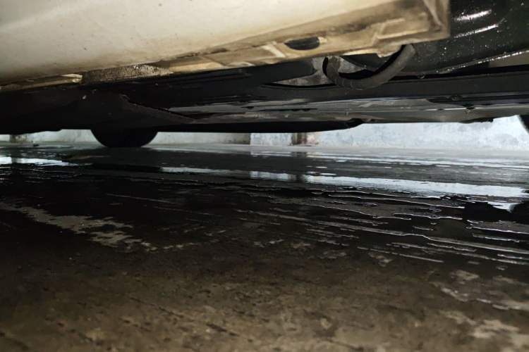 Used Ford Focus 2021 Sedan EcoBoost 180 Automatic ST Line Chassis Rear Left