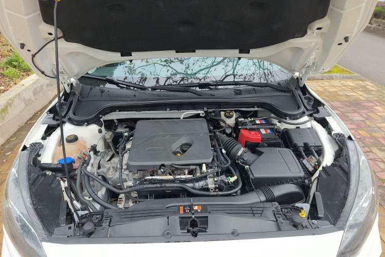 Used Ford Focus 2021 Sedan EcoBoost 180 Automatic Trendy Model Engine Bay