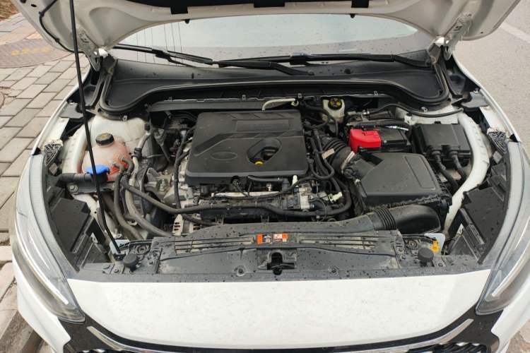 Used Ford Focus 2021 Sedan EcoBoost 180 Automatic Trendy Model Engine Bay