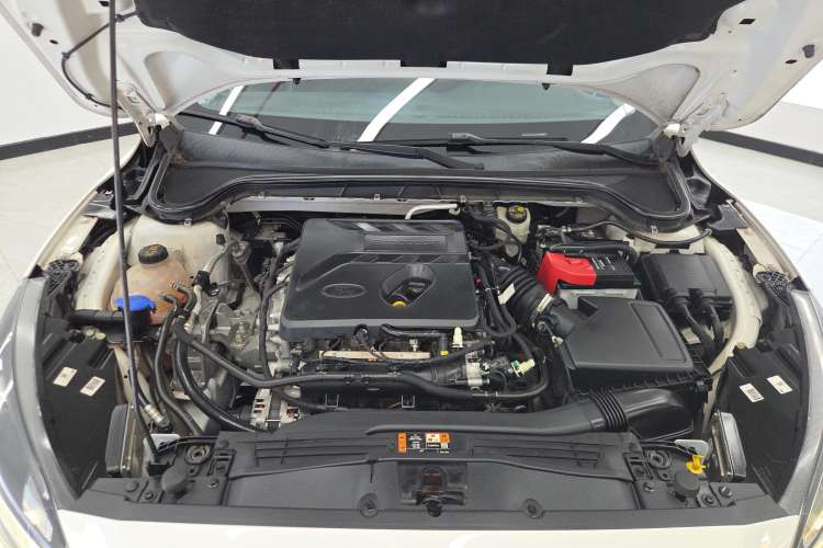 Used Ford Focus 2021 EcoBoost 180 Automatic Hunter Edition Engine Bay