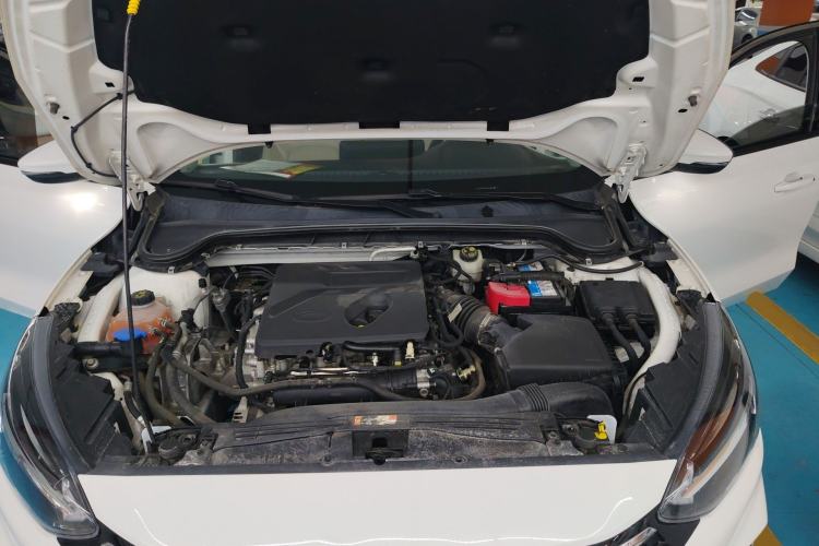 Used Ford Focus 2021 Sedan EcoBoost 180 Automatic Trendy Model Engine Bay