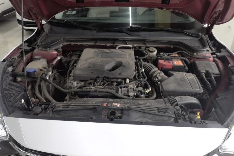 Used Ford Focus 2021 Sedan EcoBoost 180 Automatic Trendy Model Engine Bay