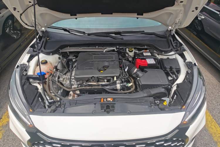Used Ford Focus 2021 Sedan EcoBoost 180 Automatic Trendy Model Engine Bay