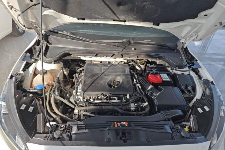 Used Ford Focus 2021 Sedan EcoBoost 180 Automatic ST Line Engine Bay