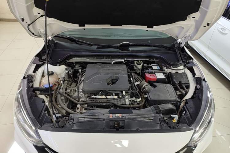Used Ford Focus 2021 Sedan EcoBoost 180 Automatic Trendy Model Engine Bay