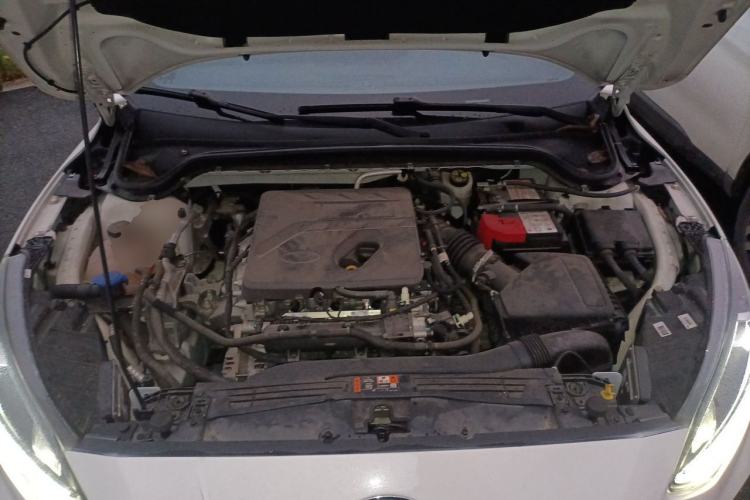 Used Ford Focus 2021 Sedan EcoBoost 180 Automatic ST Line Engine Bay
