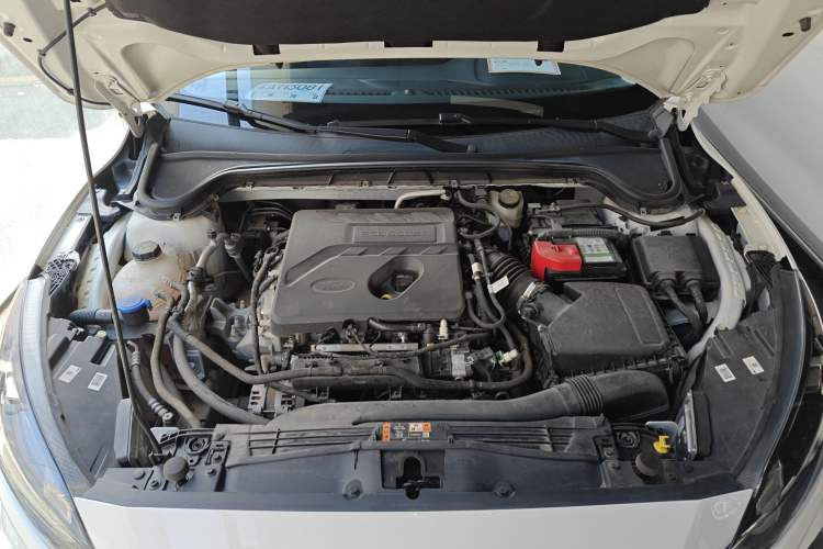 Used Ford Focus 2021 EcoBoost 180 Automatic Hunter Edition Engine Bay