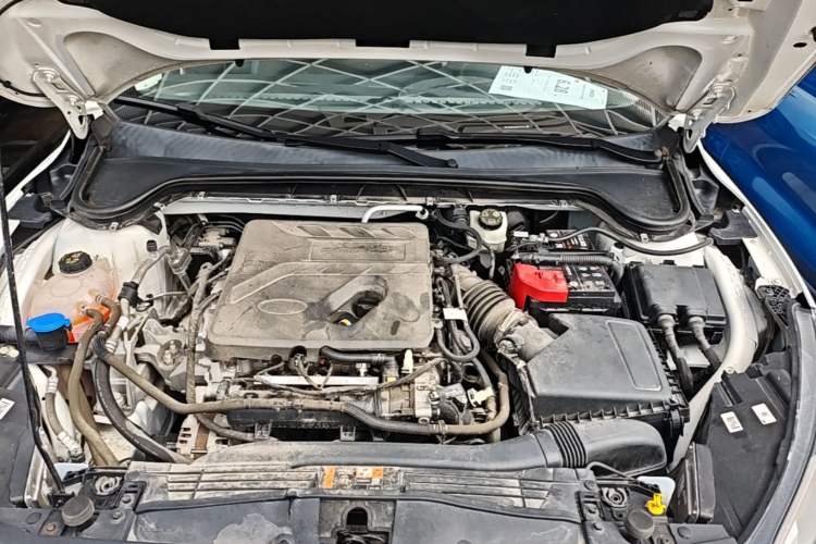 Used Ford Focus 2021 EcoBoost 180 Automatic Hunter Edition Engine Bay