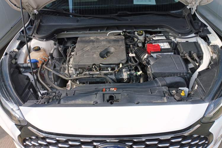 Used Ford Focus 2021 Sedan EcoBoost 180 Automatic Trendy Model Engine Bay