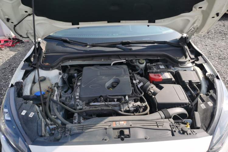 Used Ford Focus 2021 EcoBoost 180 Automatic Hunter Edition Engine Bay