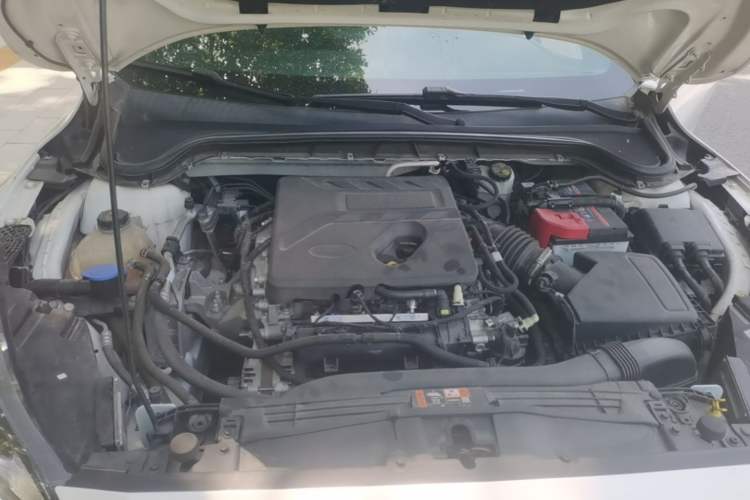 Used Ford Focus 2021 Hatchback EcoBoost 180 Automatic ST Line Engine Bay