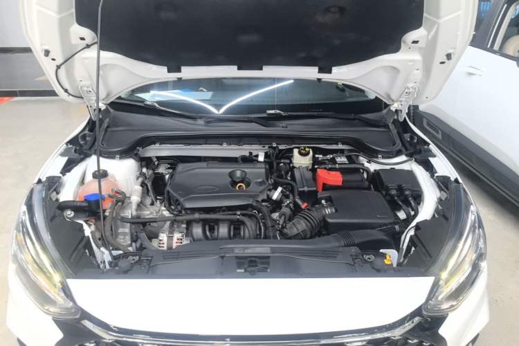 Used Ford Focus 2021 Sedan 1.5L Automatic Sharp Edition Engine Bay