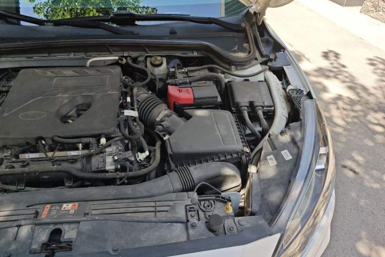 Used Ford Focus 2021 EcoBoost 180 Automatic Hunter Edition Engine Bay Left