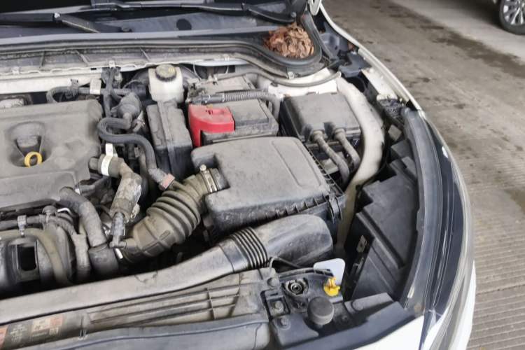 Used Ford Focus 2021 Sedan 1.5L Automatic Sharp Edition Engine Bay Left