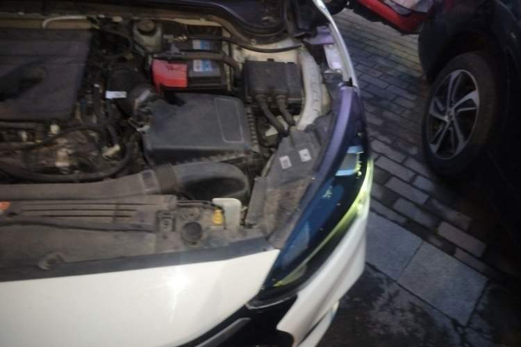 Used Ford Focus 2021 EcoBoost 180 Automatic Hunter Edition Engine Bay Left