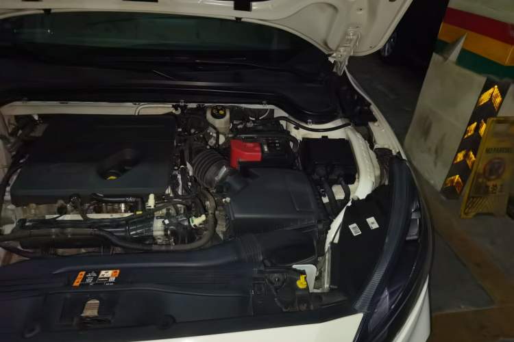 Used Ford Focus 2021 Sedan EcoBoost 180 Automatic ST Line Engine Bay Left