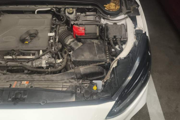 Used Ford Focus 2021 Hatchback EcoBoost 180 Automatic Titanium Edition Engine Bay Left
