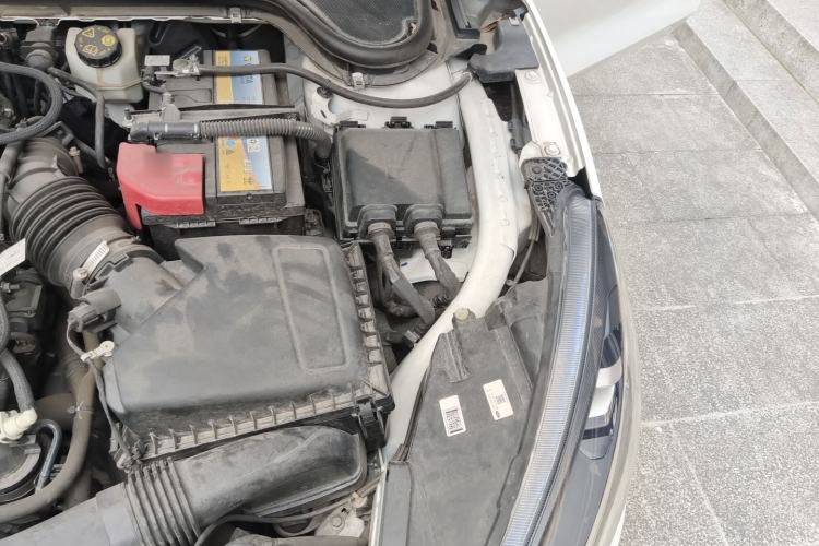 Used Ford Focus 2021 EcoBoost 180 Automatic Hunter Edition Engine Bay Left