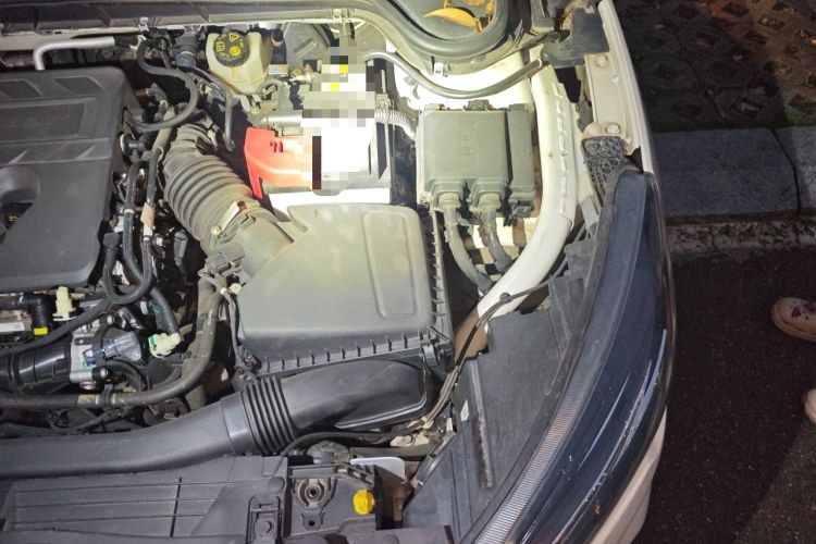 Used Ford Focus 2021 Sedan EcoBoost 180 Automatic Trendy Model Engine Bay Left