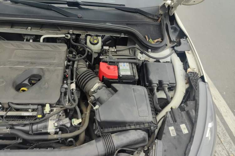Used Ford Focus 2021 EcoBoost 180 Automatic Hunter Edition Engine Bay Left