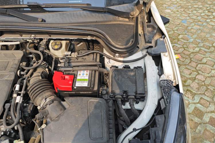 Used Ford Focus 2021 Hatchback EcoBoost 180 Automatic Titanium Edition Engine Bay Left