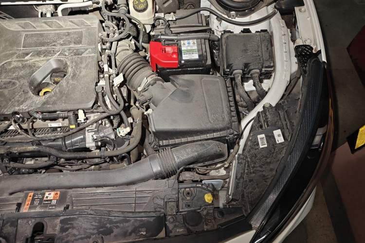 Used Ford Focus 2021 Hatchback EcoBoost 180 Automatic ST Line Engine Bay Left