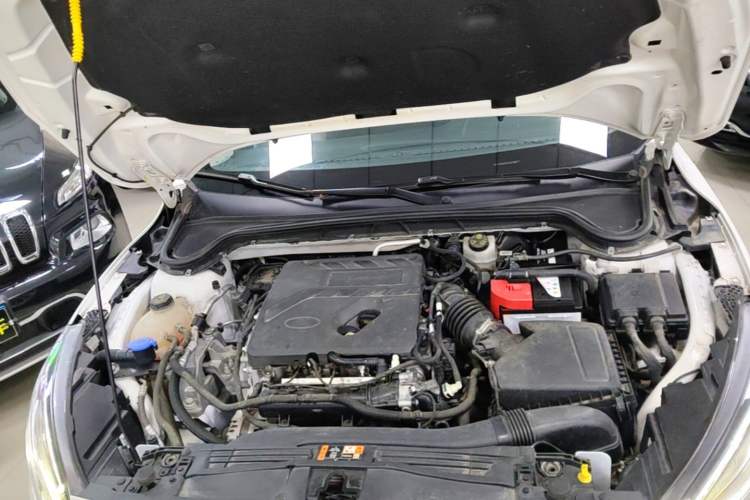 Used Ford Focus 2021 Sedan EcoBoost 180 Automatic Trendy Model Engine Bay