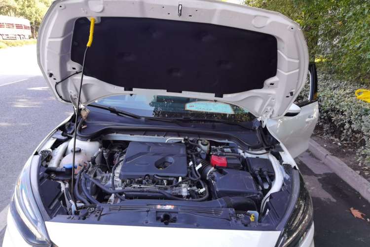 Used Ford Focus 2021 Sedan EcoBoost 180 Automatic Trendy Model Engine Bay