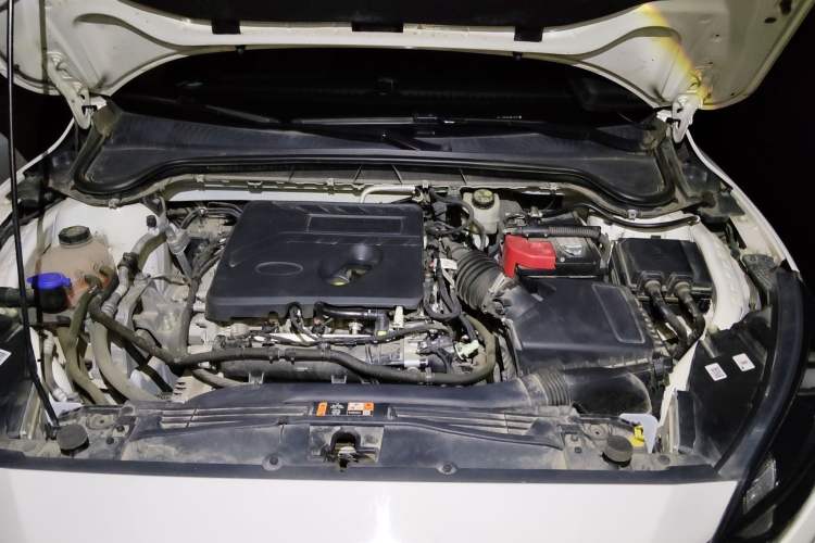 Used Ford Focus 2021 EcoBoost 180 Automatic Hunter Edition Engine Bay