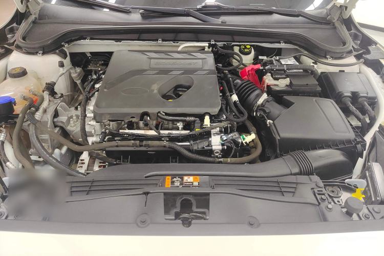 Used Ford Focus 2021 EcoBoost 180 Automatic Hunter Edition Engine Bay