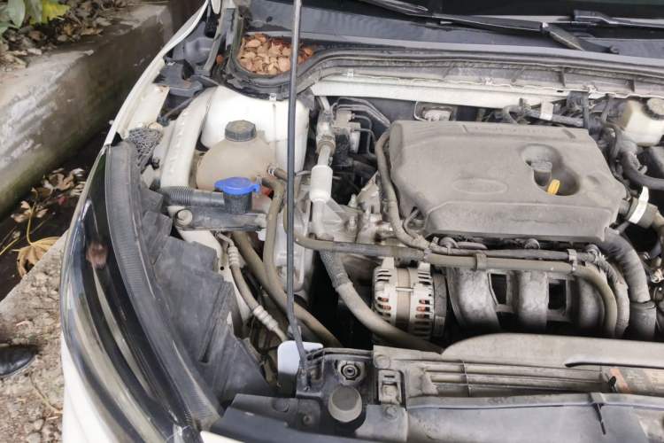 Used Ford Focus 2021 Sedan 1.5L Automatic Sharp Edition Engine Bay Right