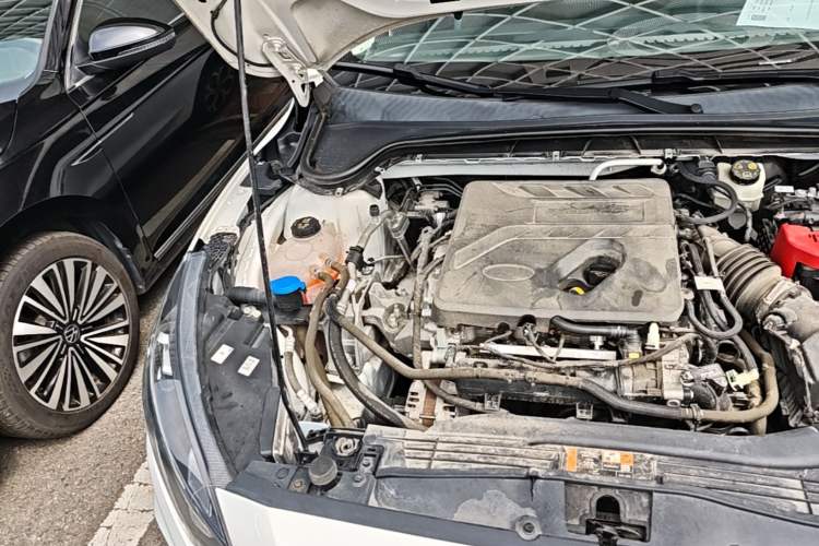 Used Ford Focus 2021 EcoBoost 180 Automatic Hunter Edition Engine Bay Right