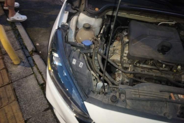 Used Ford Focus 2021 EcoBoost 180 Automatic Hunter Edition Engine Bay Right