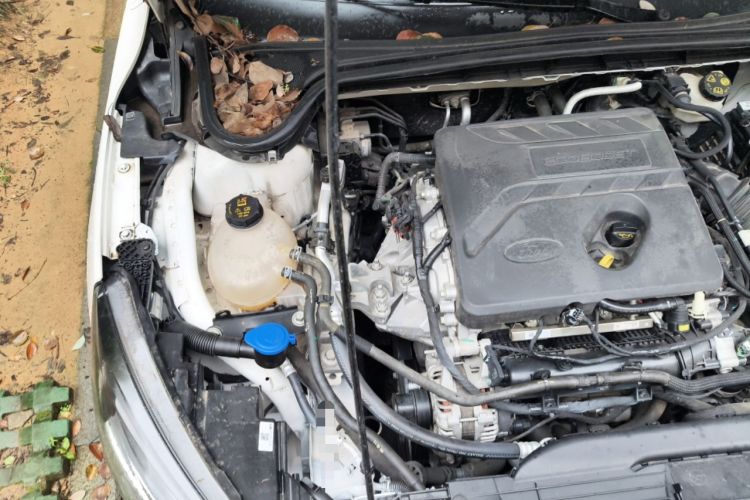 Used Ford Focus 2021 Hatchback EcoBoost 180 Automatic Titanium Edition Engine Bay Right