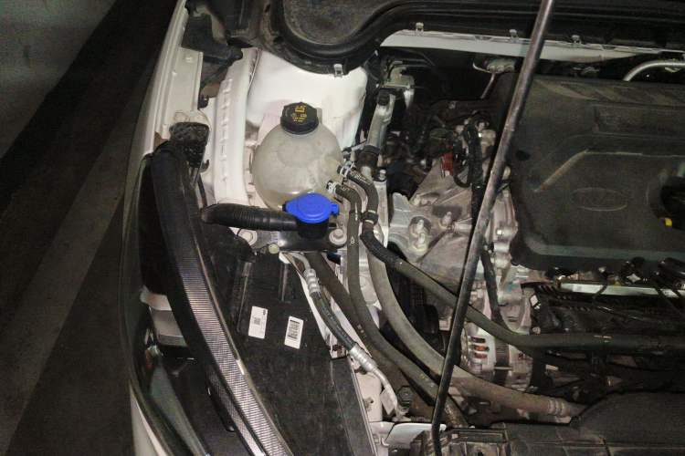 Used Ford Focus 2021 Sedan EcoBoost 180 Automatic ST Line Engine Bay Right