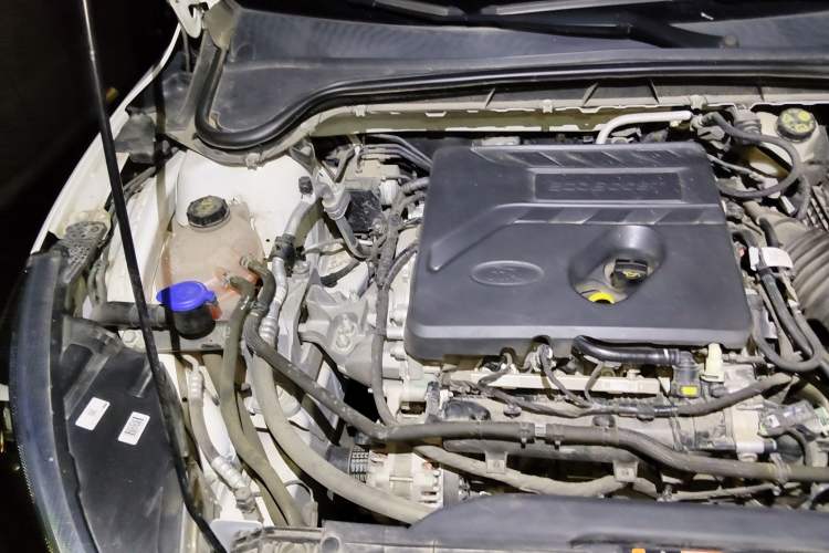 Used Ford Focus 2021 EcoBoost 180 Automatic Hunter Edition Engine Bay Right