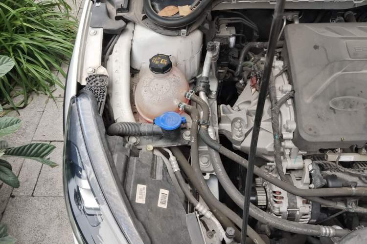 Used Ford Focus 2021 EcoBoost 180 Automatic Hunter Edition Engine Bay Right