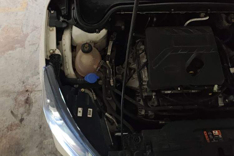 Used Ford Focus 2021 Sedan EcoBoost 180 Automatic ST Line Engine Bay Right