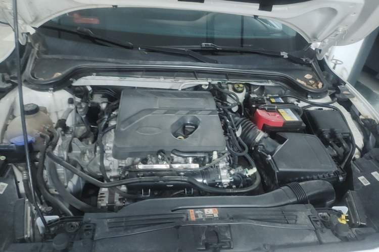 Used Ford Focus 2021 EcoBoost 180 Automatic Hunter Edition Engine Bay