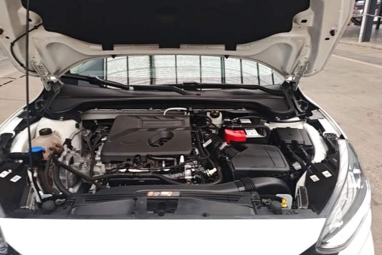 Used Ford Focus 2021 EcoBoost 180 Automatic Hunter Edition Engine Bay