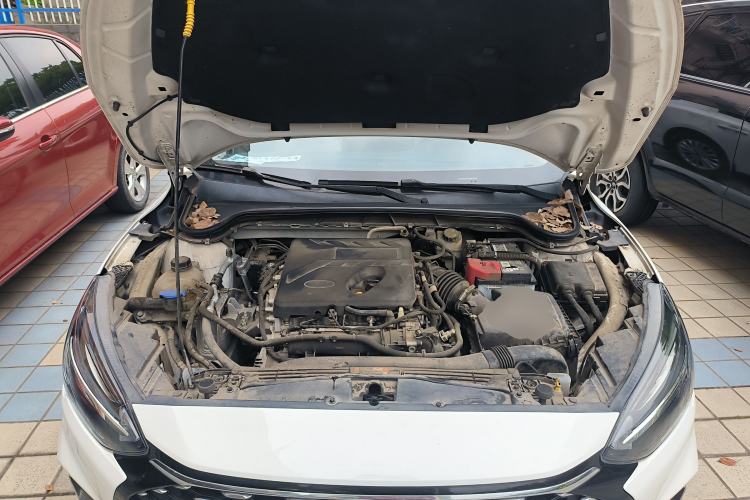 Used Ford Focus 2021 Sedan EcoBoost 180 Automatic Trendy Model Engine Bay