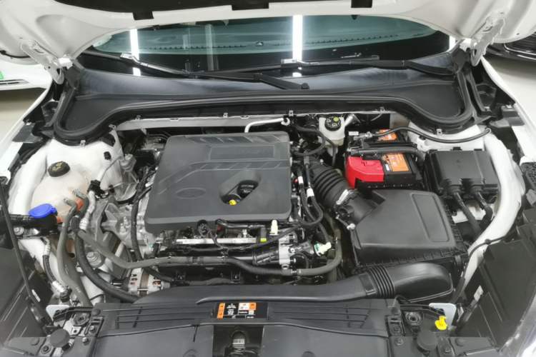 Used Ford Focus 2021 Hatchback EcoBoost 180 Automatic Titanium Edition Engine Bay